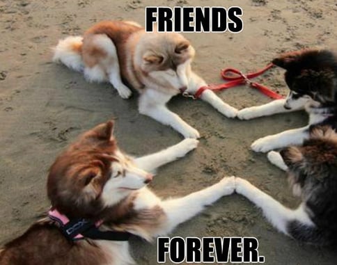 friends_forever-1